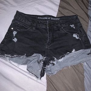 Articles of Society Shorts